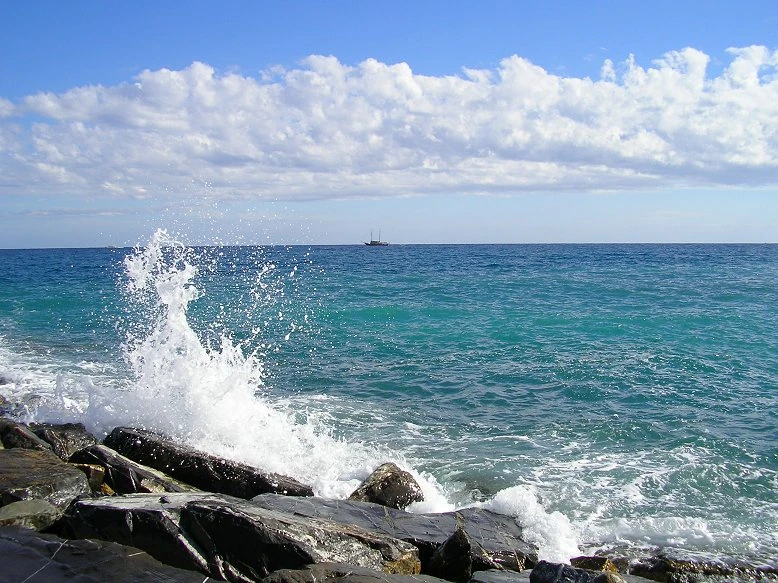 Das Meer 7
